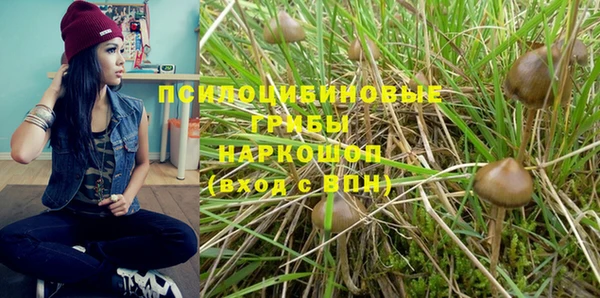 метадон Инсар