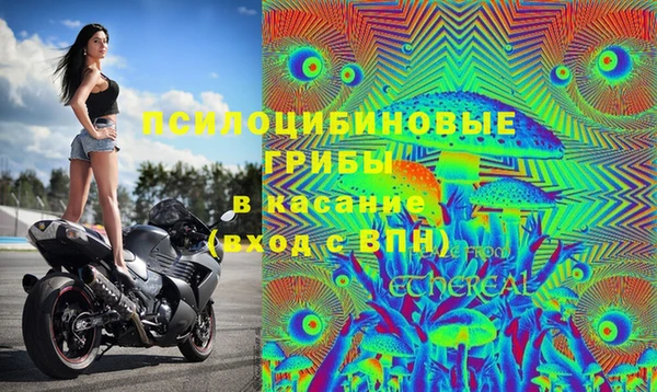 меф Инта